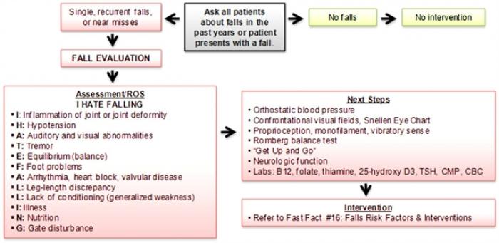 Fall Risk Assessment Chart